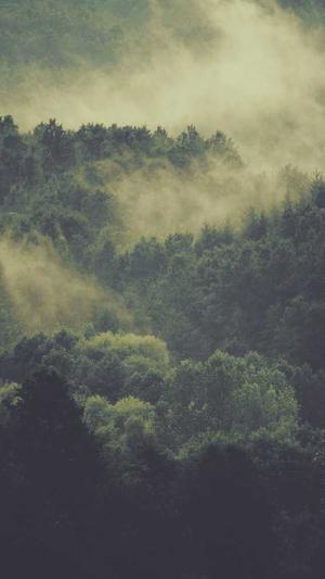 泛目录使用教程收录截图1