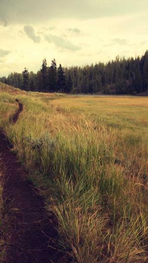 python蜘蛛池截图2