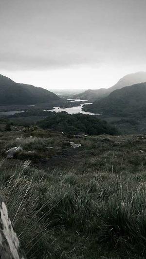 中国住房和城乡建设部网站截图3