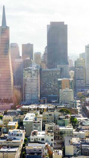 SEO宣传推广截图1