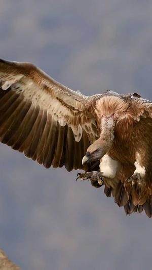 搜狗泛目录代做截图1