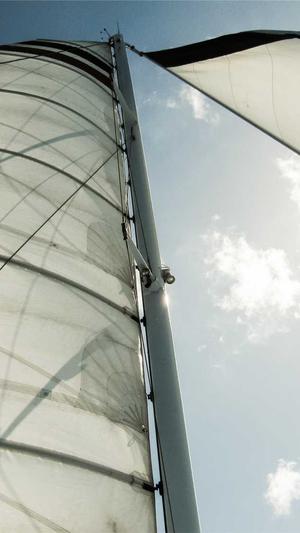 小旋风蜘蛛池效果图截图5