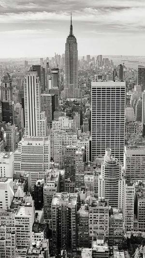 秒收录工具seo代做截图2