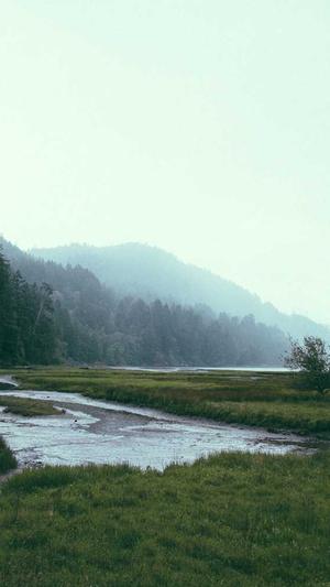 重庆seo点击软件截图1