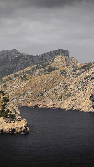 在线站长seo工具截图4