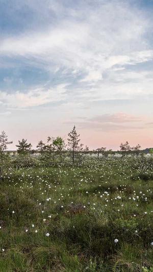 重庆自动seo优化截图2