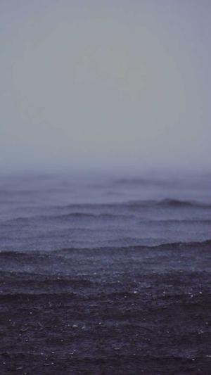 哪家网站建设公司截图4