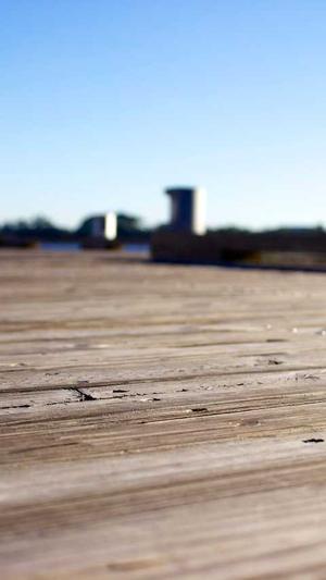 零距离泛目录推广工具截图2