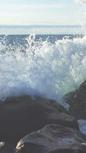 甘肃神马蜘蛛池出租截图2