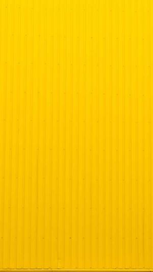 最新蜘蛛池免费版截图3