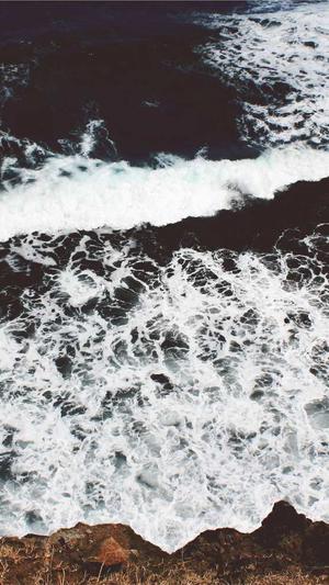 移动网站建设截图2