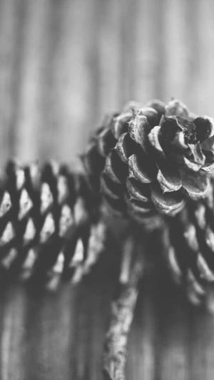 网站建设网站制作网站设计截图4