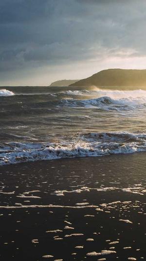 重庆seo推广截图1