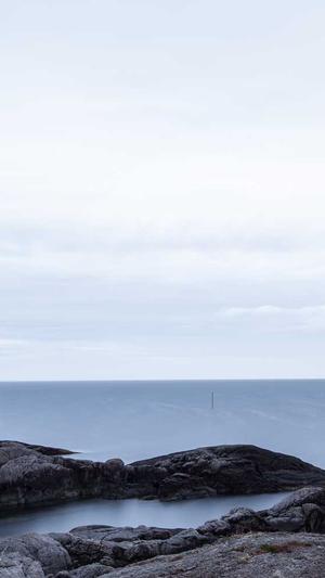 代建蜘蛛池截图1