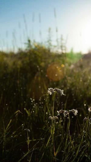 蜘蛛池位置截图4