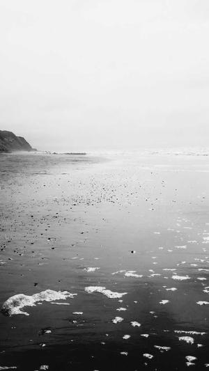 秒收录工具seo平台截图2