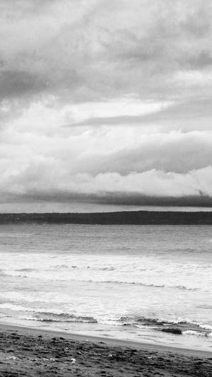 石家庄seo优化截图3