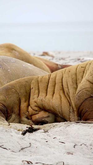 蜘蛛池有没有效果截图2