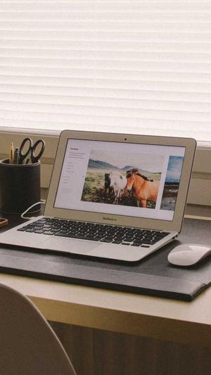 怎么样搭建蜘蛛池截图4