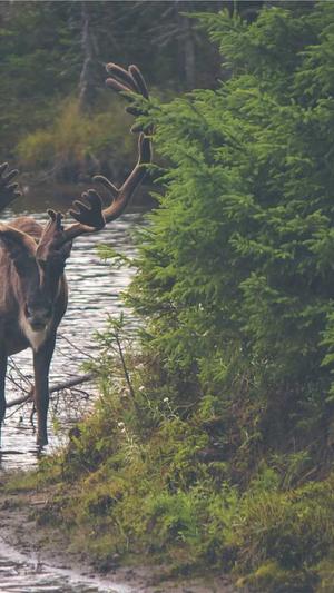 网站建设知识截图1