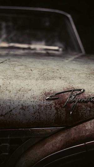 泛目录哪个平台好用截图4