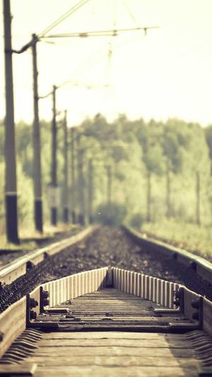 147seo工具下载截图4