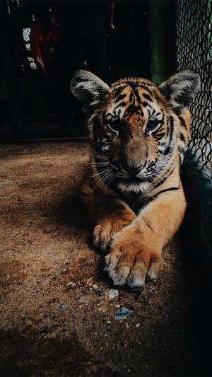 网站优化seo培训截图1