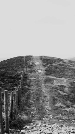 seo蜘蛛池论坛截图2