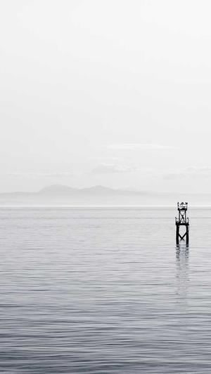 seo网络优化是什么截图1