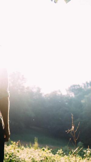 泛目录怎么做优化截图1