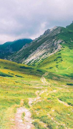 泛目录站群教程截图2