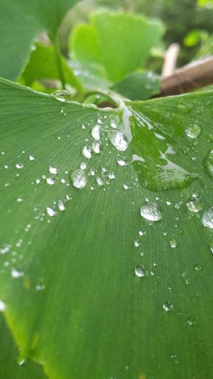 安徽省住房和城乡建设厅网站截图2