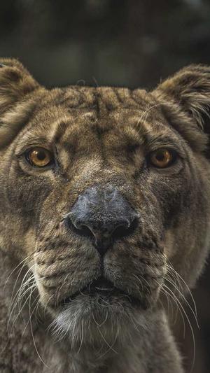 seo排名点击软件截图5