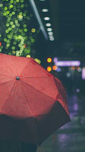 建设网站网站建设公司截图2