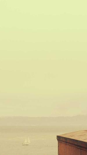 seo排名监测工具截图3