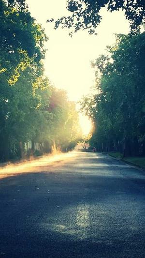 汉中网站建设截图2