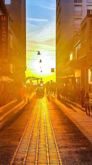 手机排名seo优化截图3