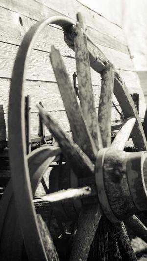 seo刷关键词排名工具截图1