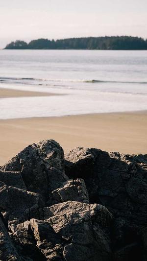 什么蜘蛛池的程序出名截图1