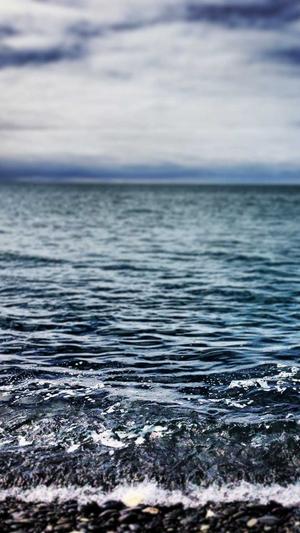 seo流量查询工具截图2