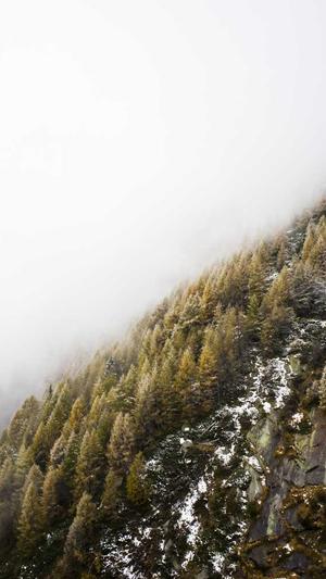 青岛seo优化截图2