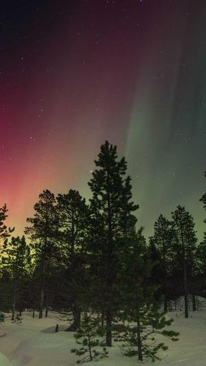 物流网站建设截图1