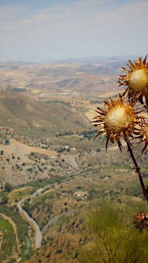 零距离泛目录程序截图4