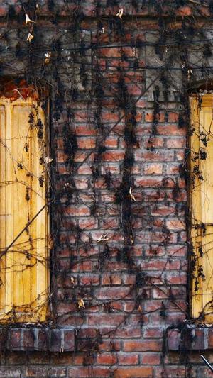 网站建设与网页制作基础入门教程截图3