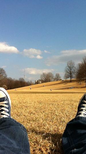 汉中网站建设截图1