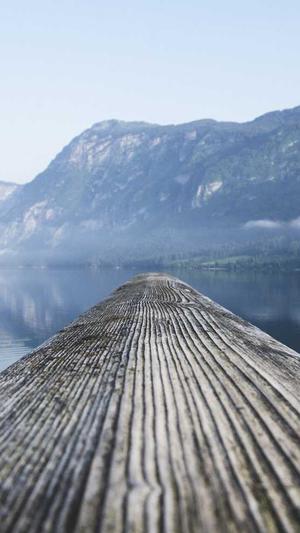 阿里蜘蛛池搭建截图5