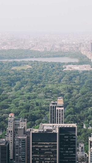 网络优化seo截图2