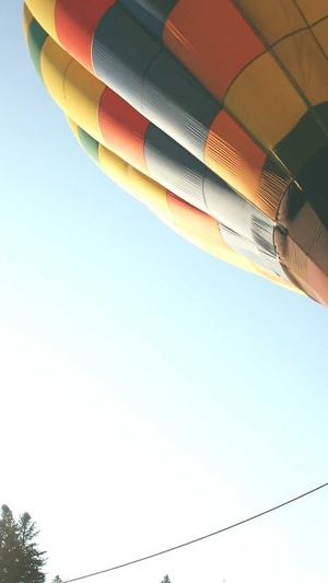 百度蜘蛛繁殖池截图4