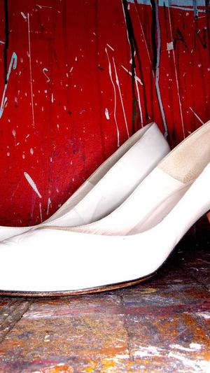 蜘蛛池有地域性吗截图2