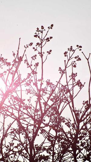 广州品牌网站建设哪家好截图1